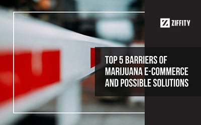 Top 5 Barriers of Marijuana E-commerce and possible solutions
