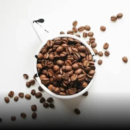 Olam food ingredients