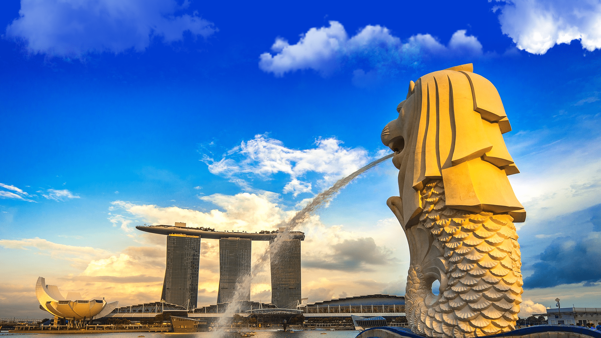 Singapore’s preferred experience-driven eCommerce agency
